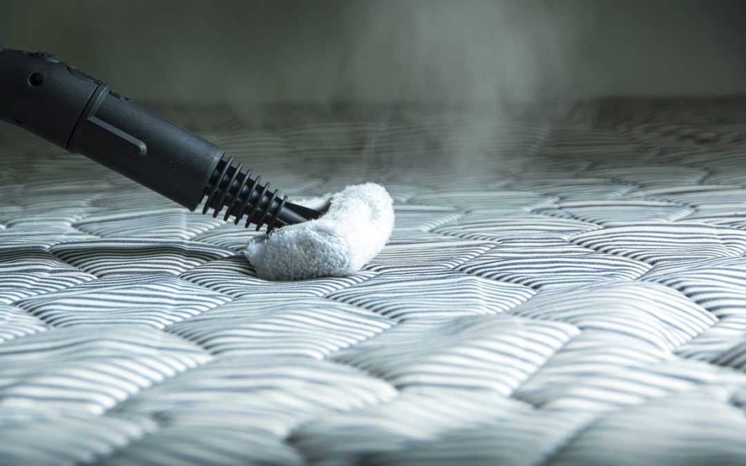 Home Remedies for Bed Bugs